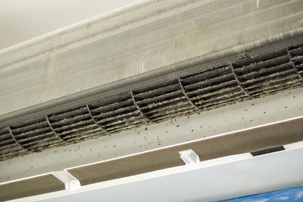 HVAC System Cleaning in Indialantic, FL